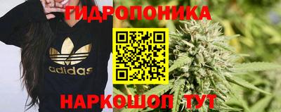амф Славгород